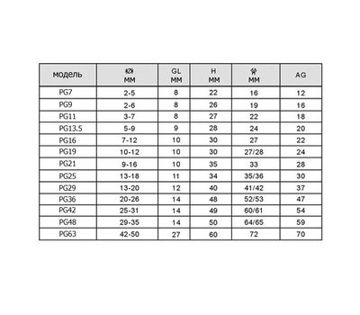 PG29 GAINTA - фото
